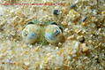 foto de buceo