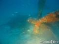 foto de buceo