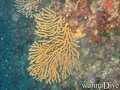 foto de buceo