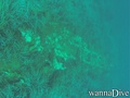 foto de buceo