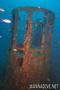 foto de buceo