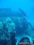 foto de buceo
