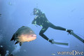 foto de buceo