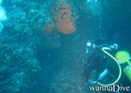 foto de buceo