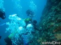 foto de buceo