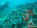 foto de buceo