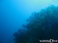 foto de buceo