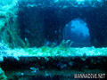 foto de buceo