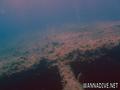 foto de buceo