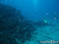 foto de buceo