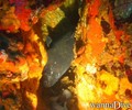 foto de buceo