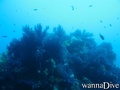 foto de buceo