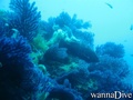 foto de buceo