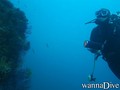 foto de buceo