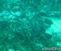 foto de buceo