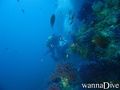 foto de buceo