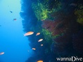 foto de buceo
