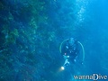 foto de buceo