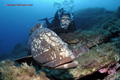 foto de buceo