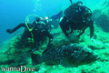 foto de buceo