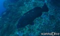 foto de buceo