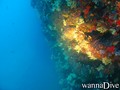 foto de buceo