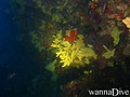 foto de buceo