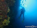 foto de buceo