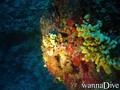 foto de buceo