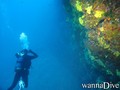 foto de buceo