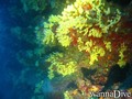foto de buceo