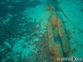 foto de buceo