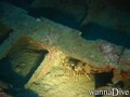 foto de buceo
