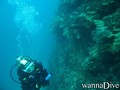 foto de buceo
