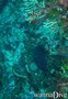 foto de buceo