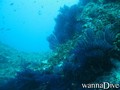 foto de buceo