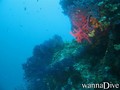 foto de buceo