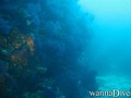foto de buceo