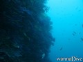 foto de buceo