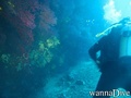 foto de buceo