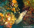 foto de buceo