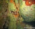 foto de buceo