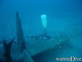foto de buceo