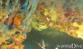 foto de buceo