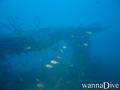 foto de buceo