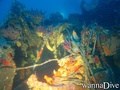 foto de buceo