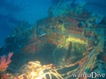 foto de buceo