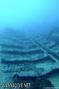foto de buceo