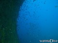 foto de buceo