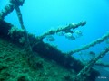 foto de buceo